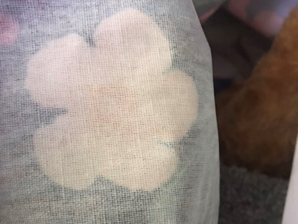 工藝品水性組裝黃膠應(yīng)用案例