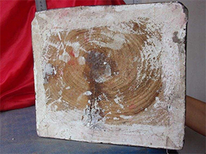 木材灌封填補(bǔ)